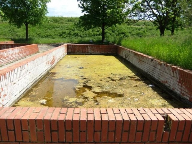 immagine La giardiasi del cane e del gatto: come prevenirla e curarla