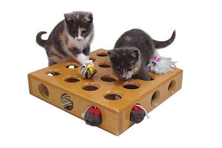 gioco intelligenza per gatti