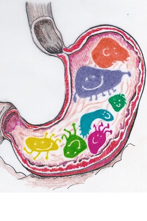 stomaco cane gatto batteri fermenti lattici probiotici